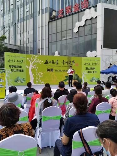 重慶李子年產(chǎn)量約68.8萬(wàn)噸,脆李種植戶基本實(shí)現(xiàn)家門(mén)口就能投遞